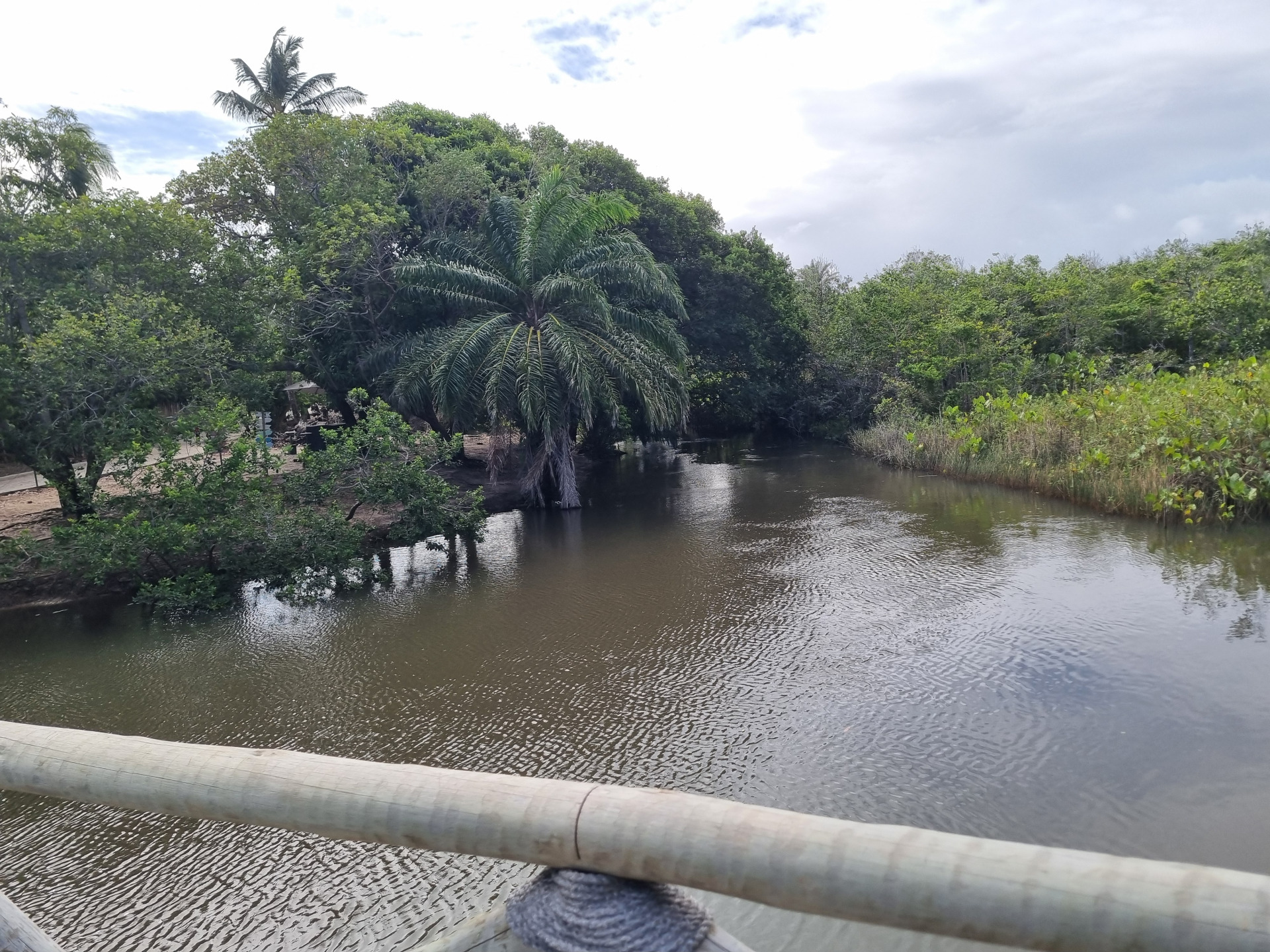 Praias perto da Praia de Santo Antônio: conheça Praia do Forte, Imbassaí, Costa do Sauípe e Diogo, destinos imperdíveis no litoral norte da Bahia.