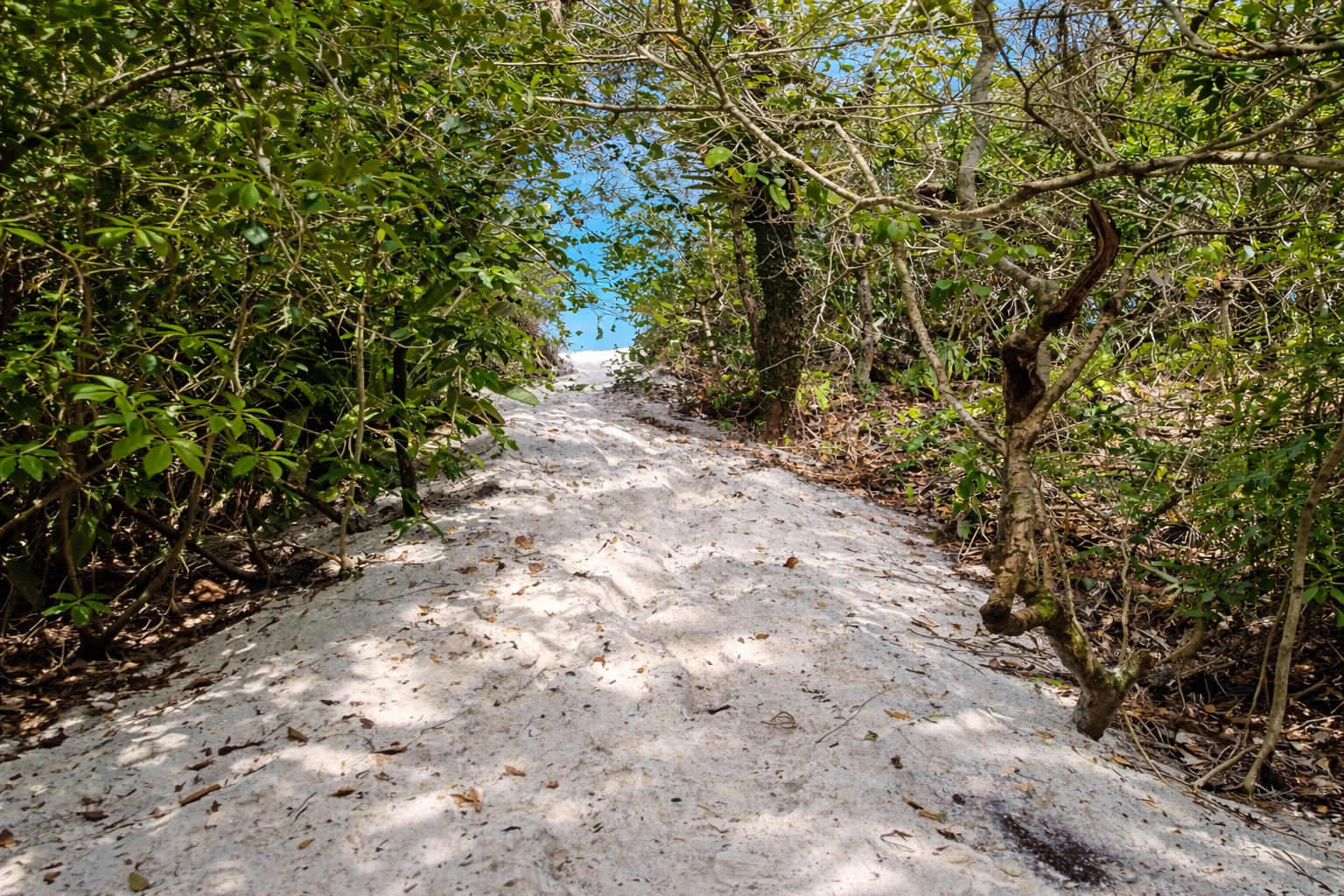 Praia secreta na Bahia: descubra o paraíso escondido no litoral norte